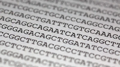 Components of genetic associations across 2,138 phenotypes in the UK Biobank highlight adipocyte biology featured image