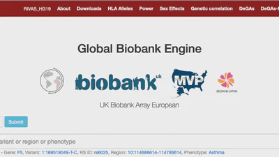 Global Biobank Engine: enabling genotype-phenotype browsing for biobank summary statistics featured image