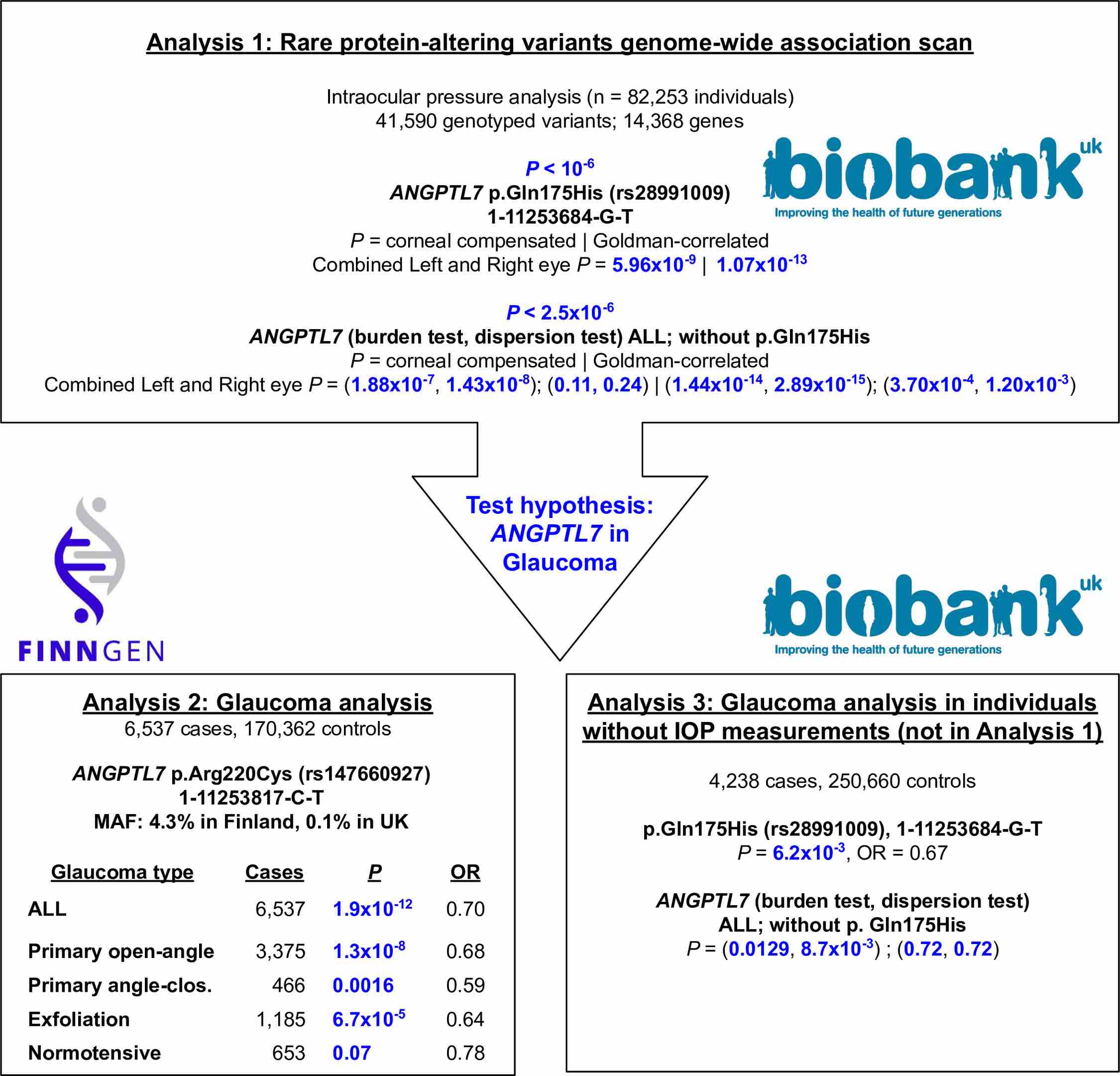 Analysis 1-3