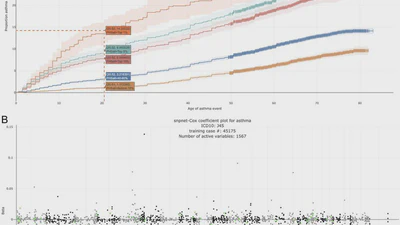 Fast Lasso method for large-scale and ultrahigh-dimensional Cox model with applications to UK Biobank featured image