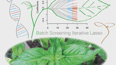 A fast and scalable framework for large-scale and ultrahigh-dimensional sparse regression with application to the UK Biobank featured image