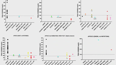 APOC3 genetic variation, serum triglycerides, and risk of coronary artery disease in Asian Indians, Europeans, and other ethnic groups featured image