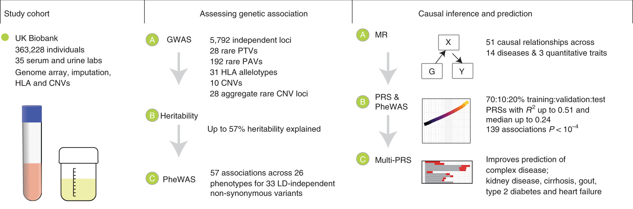 Biobank-GWAS Analysis