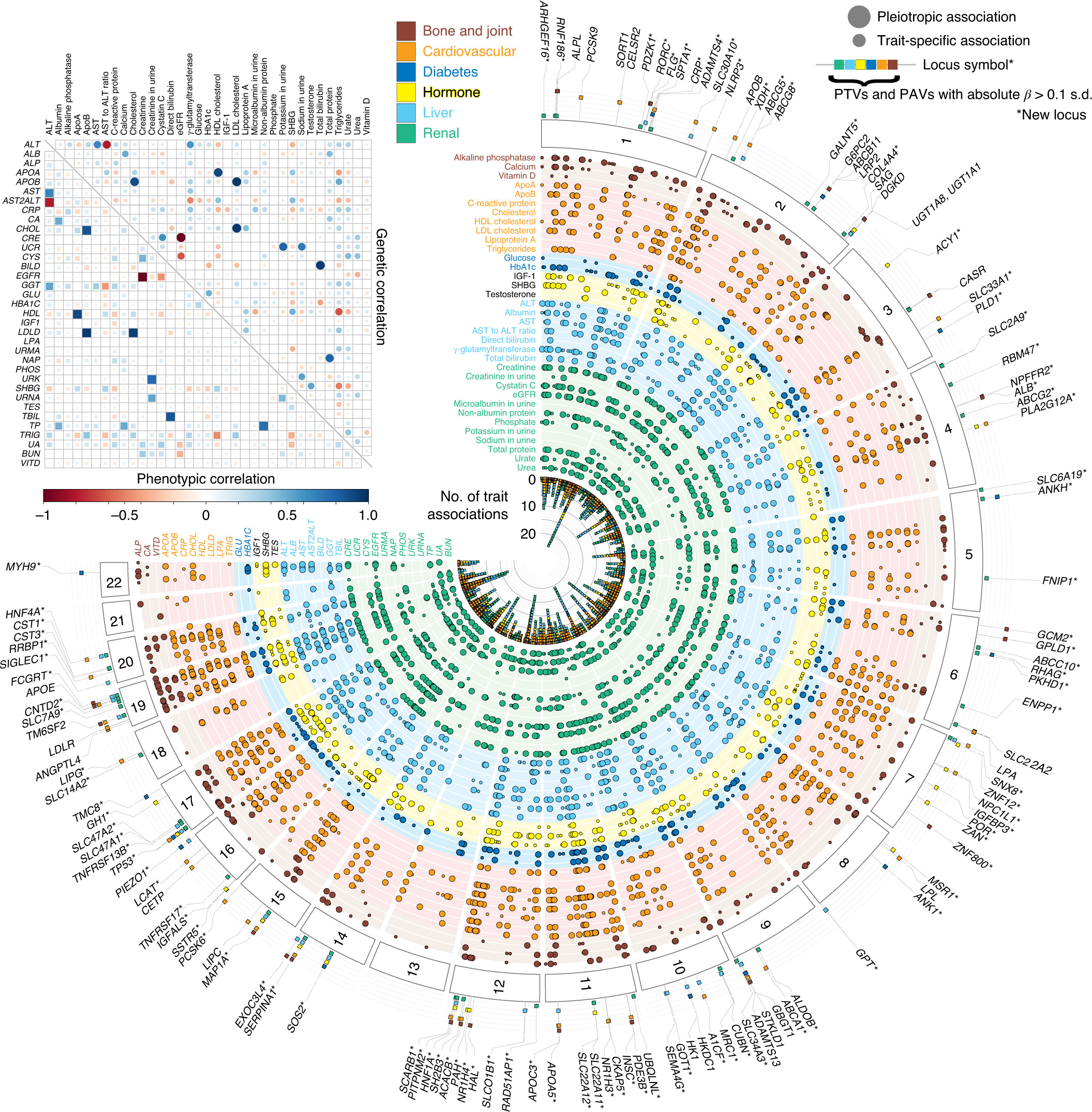 Biobank-GWAS Analysis