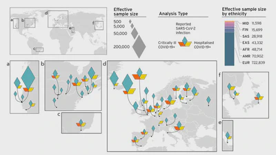 Mapping the human genetic architecture of COVID-19 featured image