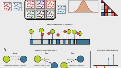 Bayesian model comparison for rare-variant association studies of multiple phenotypes featured image