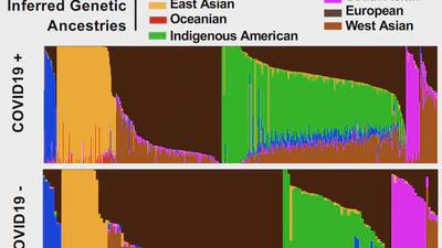 Deconvoluting complex correlates of COVID19 severity with a multi-omic pandemic tracking strategy featured image