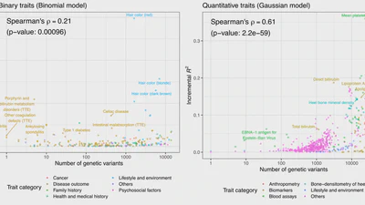 Significant Sparse Polygenic Risk Scores across 813 traits in UK Biobank featured image