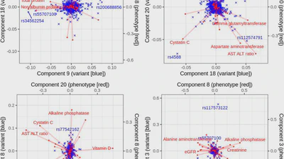 Large-scale multivariate sparse regression with applications to UK Biobank featured image