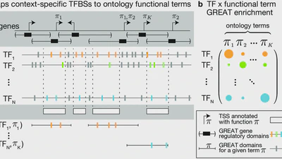 WhichTF is dominant in your open chromatin data? featured image