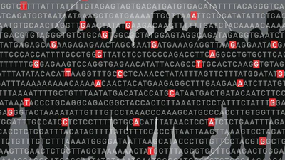 PRISM: ancestry-aware integration of tissue-specific genomic annotations enhances the transferability of polygenic scores featured image