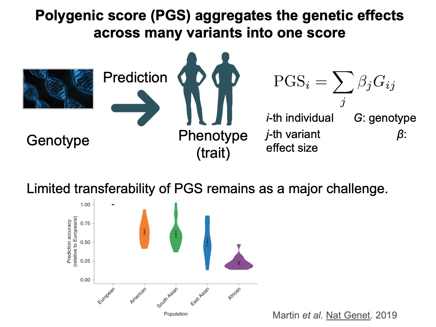 PGS aggregates the genetic effects across many variants into one score.