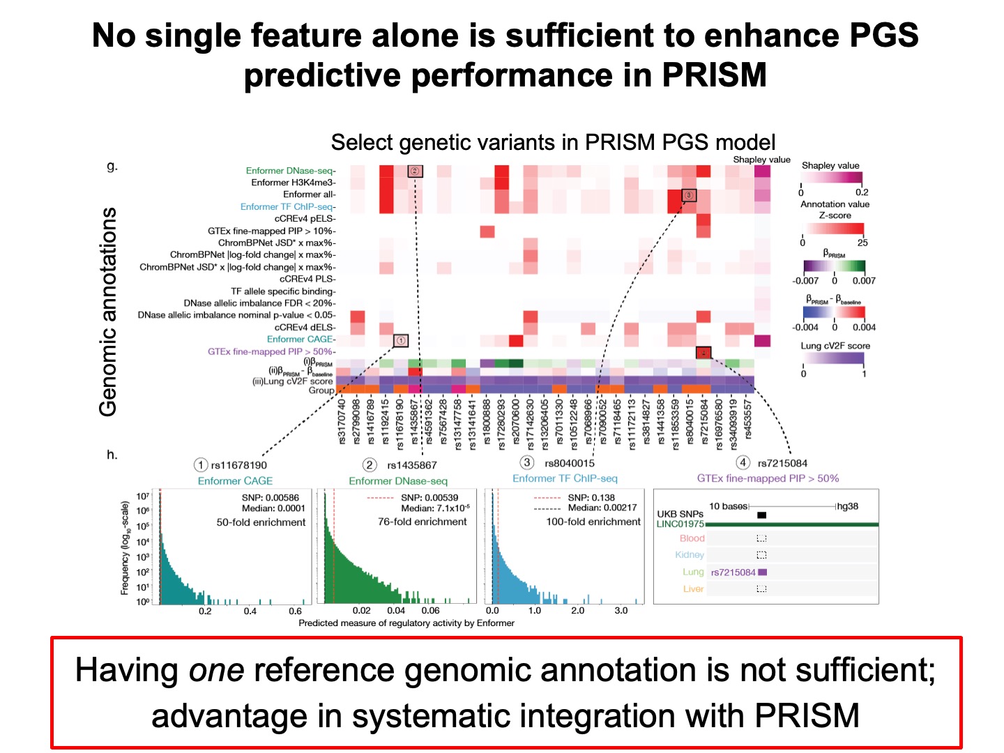 Ancestry- and tissue-specific PRISM models